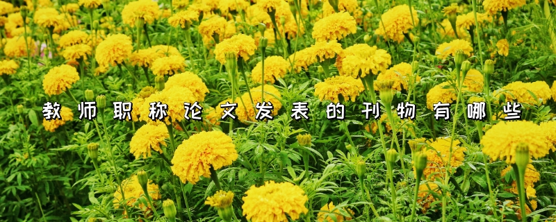  教师职称论文发表的刊物有哪些