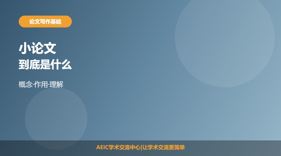 小论文是什么意思