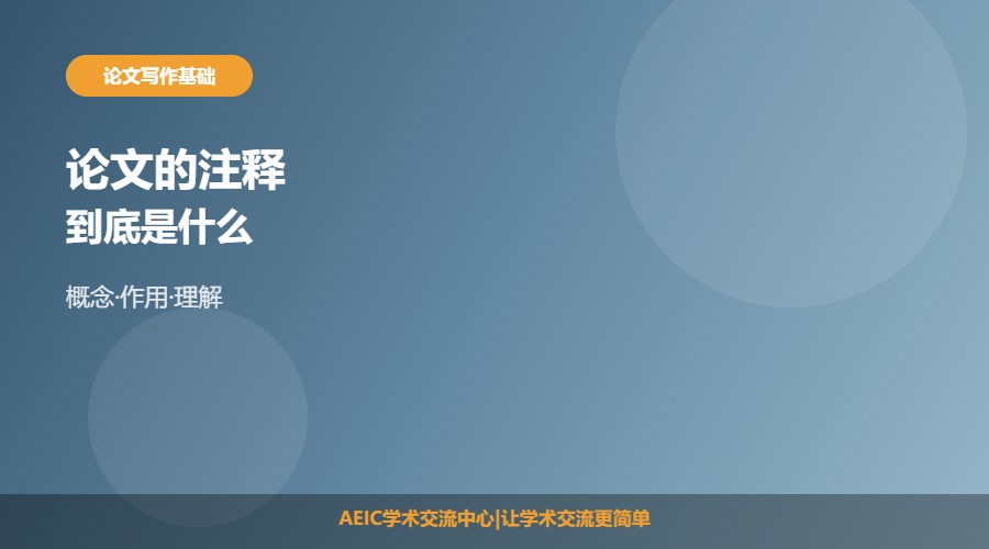 论文的注释是什么