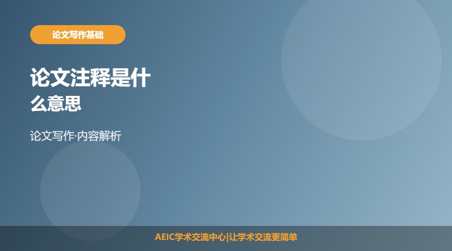 论文注释是什么意思