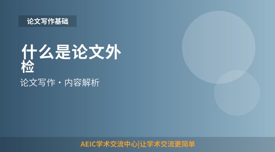 什么是论文外检