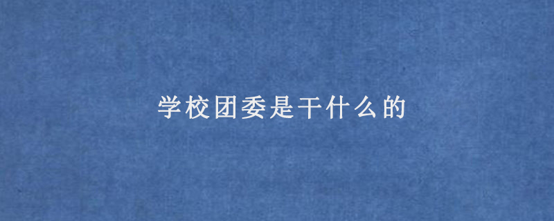 学校团委是干什么的