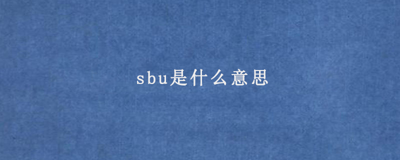 sbu是什么意思