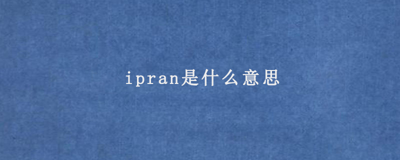 ipran是什么意思