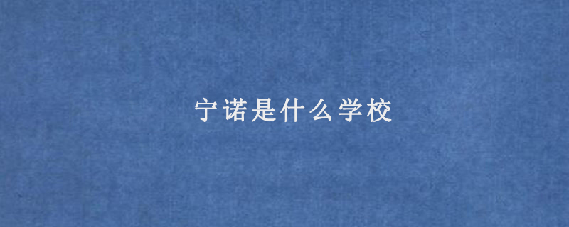 宁诺是什么学校