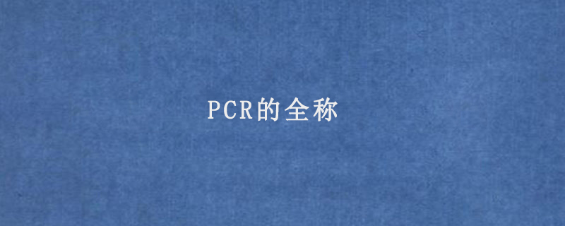 PCR的全称