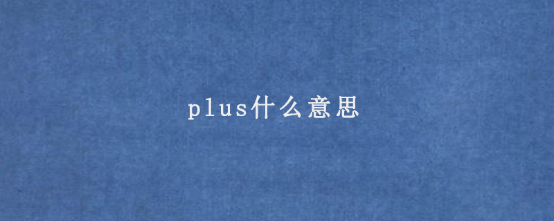 plus什么意思