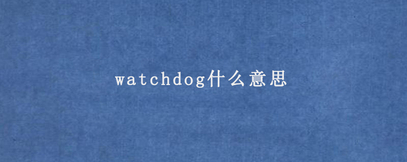 watchdog什么意思