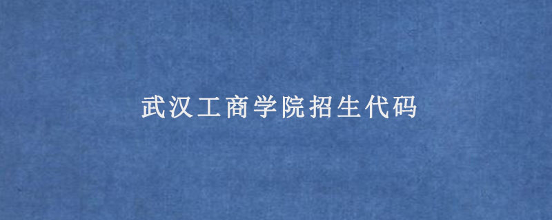 武汉工商学院招生代码