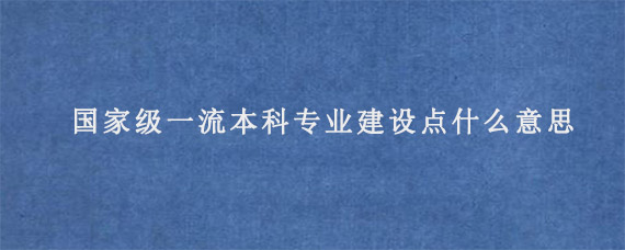 国家级一流本科专业建设点什么意思