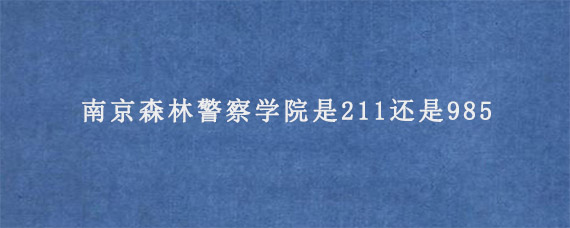 南京森林警察学院是211还是985