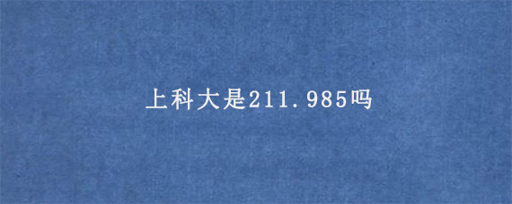 上科大是211.985吗