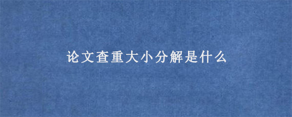 论文查重大小分解是什么?