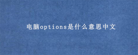 电脑options是什么意思中文