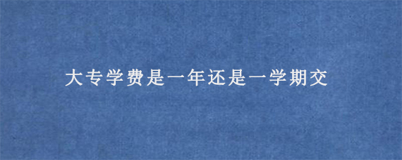 大专学费是一年还是一学期交