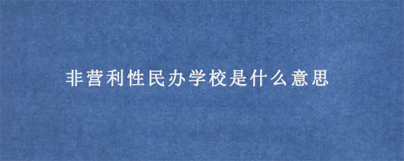 非营利性民办学校是什么意思