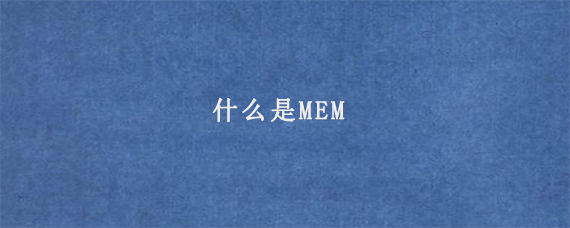 什么是MEM