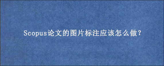 Scopus论文的图片标注应该怎么做？