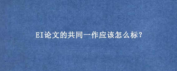 EI论文的共同一作应该怎么标？