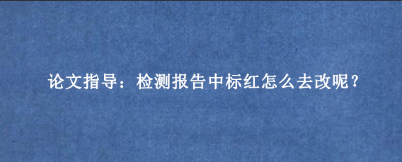论文指导：检测报告中标红怎么去改呢？