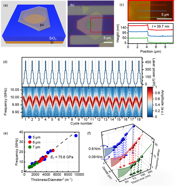 640 (16).png