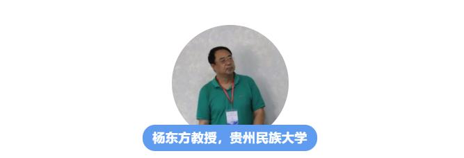 杨东方教授