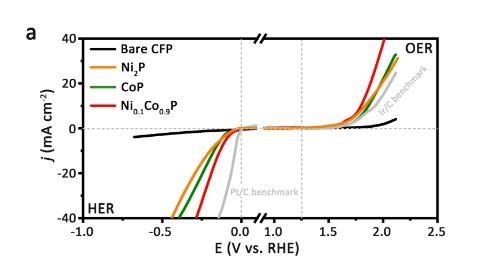 高性能低成本的新型三元纳米片电催化剂