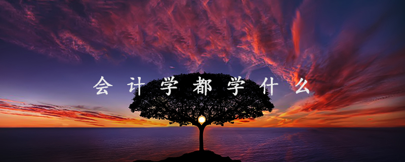 會(huì)計(jì)都學(xué)些什么 (會(huì)計(jì)都學(xué)些什么內(nèi)容)