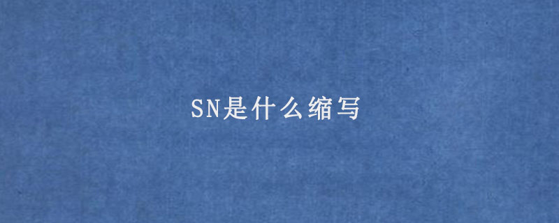 SN是什么缩写