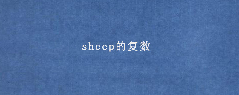 sheep的复数