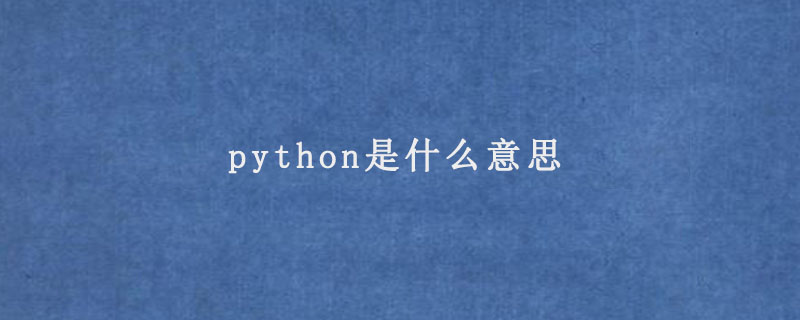 python是什么意思